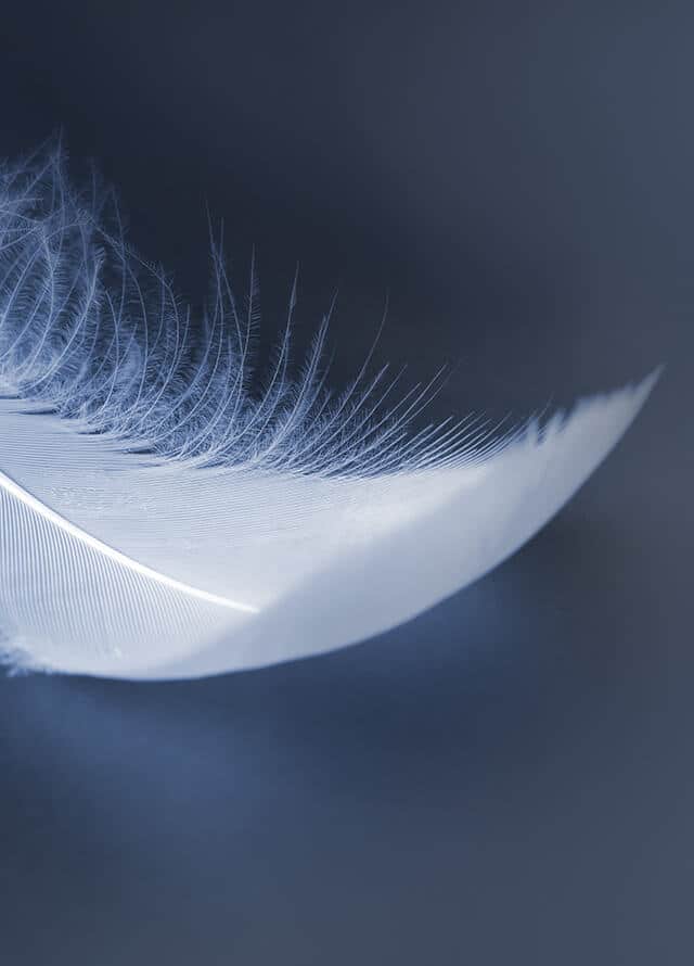 PLUMA SOBRE AZUL INDIGO