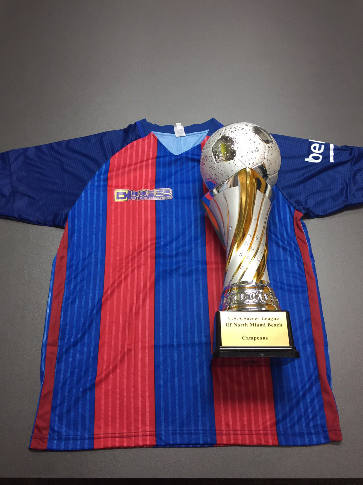 lioher sponsored soccer Team