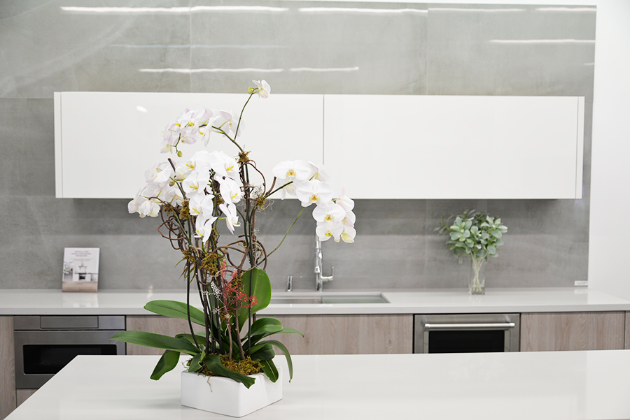 White Luxe Contemporary Kitchen
